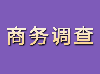 源城商务调查